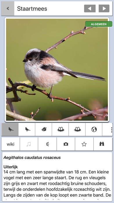 Screenshot #1 pour Vogels in Nederland - Zakgids