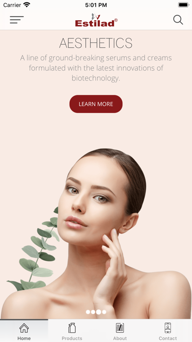 Estilad Screenshot