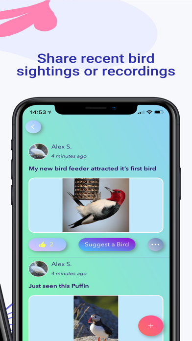 Birdify - Bird Identifierのおすすめ画像4