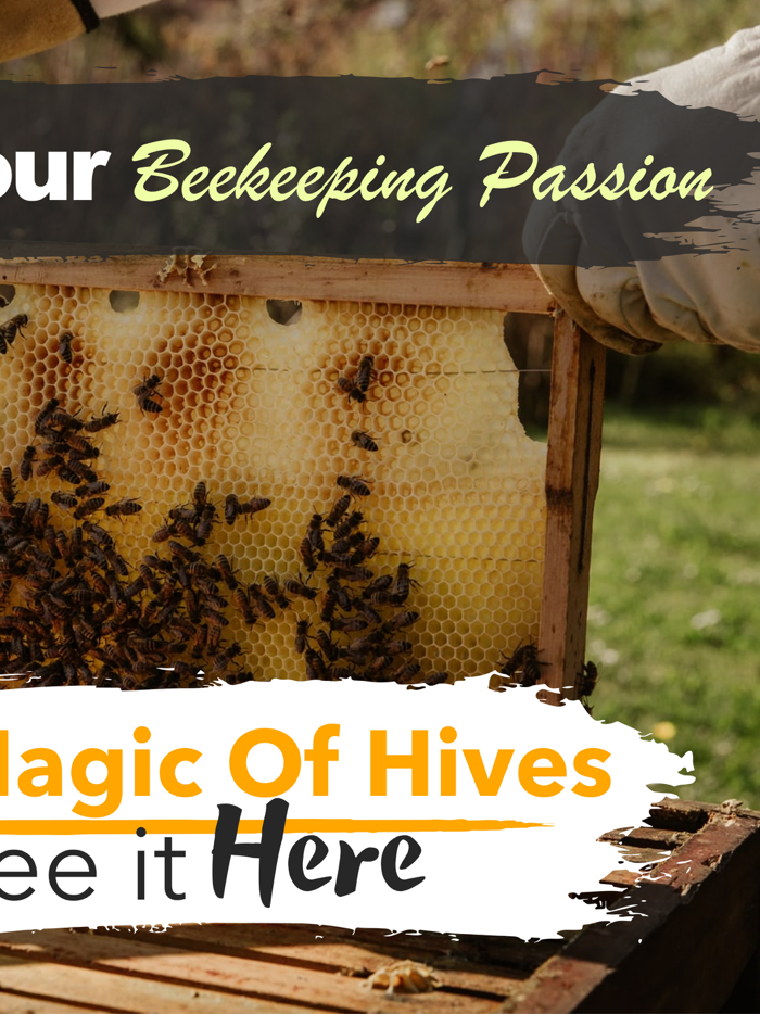 How To Beekeeper App