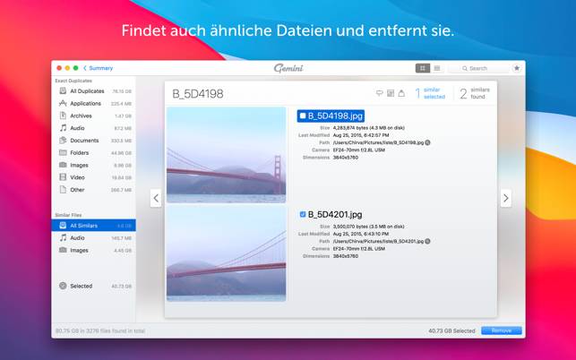 Gemini 2: The Duplicate Finder Screenshot