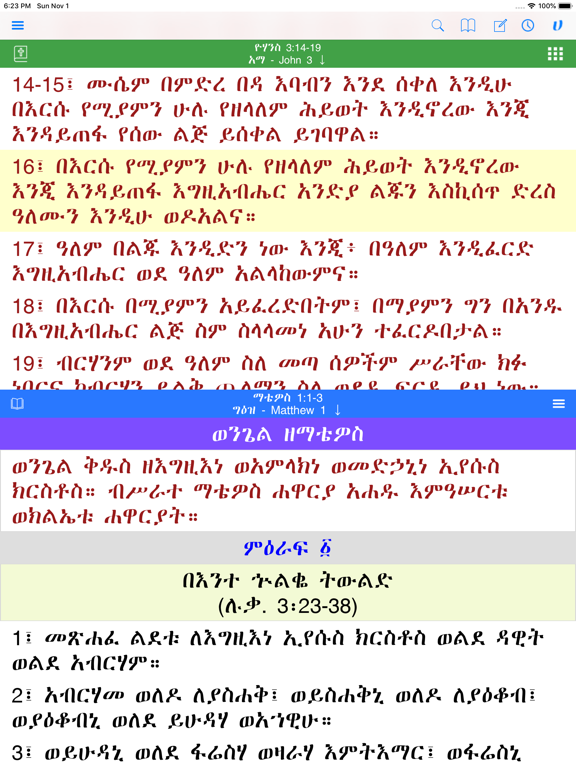 Screenshot #4 pour Hiyaw Qal AmlaK Bibles