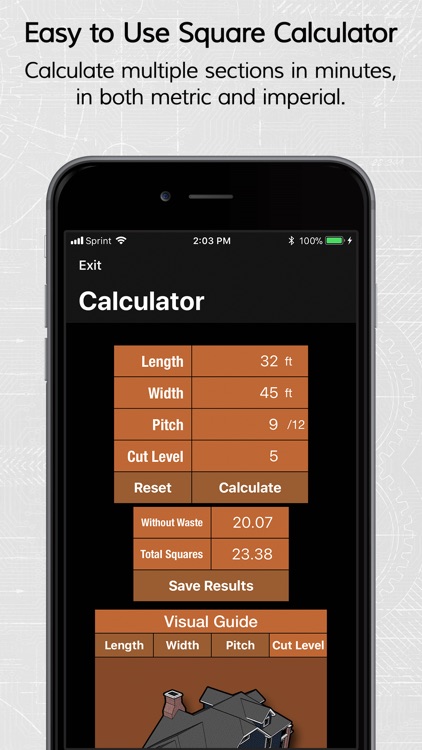 Pitch Gauge screenshot-6