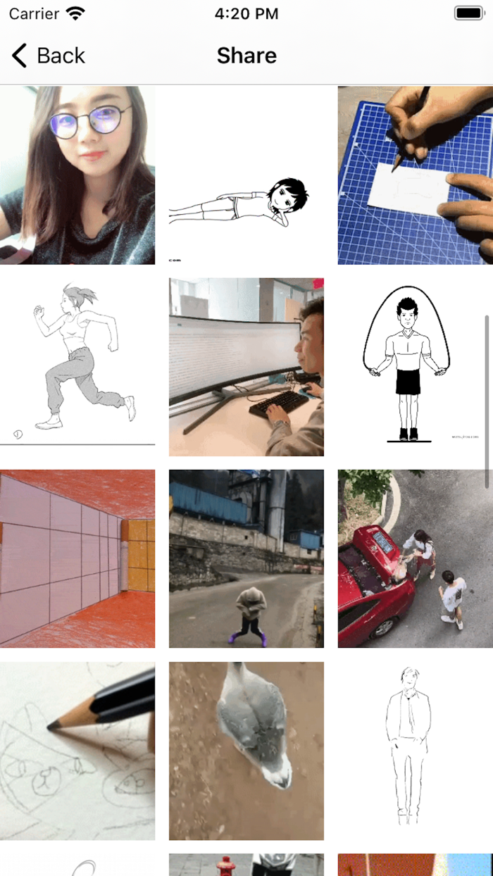 GIF-Maker-Funny GIF Share