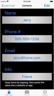 lock it up! iphone screenshot 2