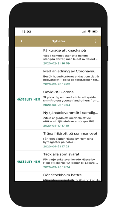 Hässelby hem HG Screenshot