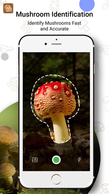 Mushroom Fungus Identifier By Vishal Vora