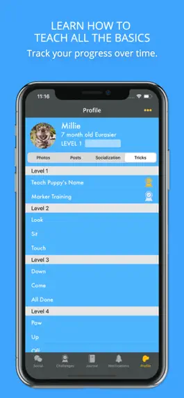 Game screenshot Social Puppy: Dog Training App hack