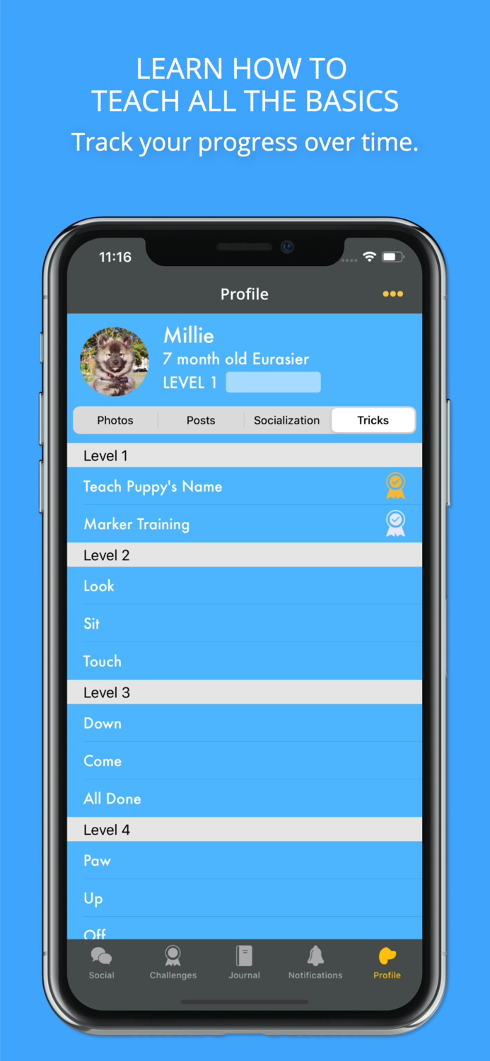 Social Puppy Dog Training App