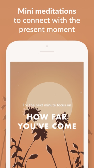 Wild Journey - Nature Sounds Screenshot