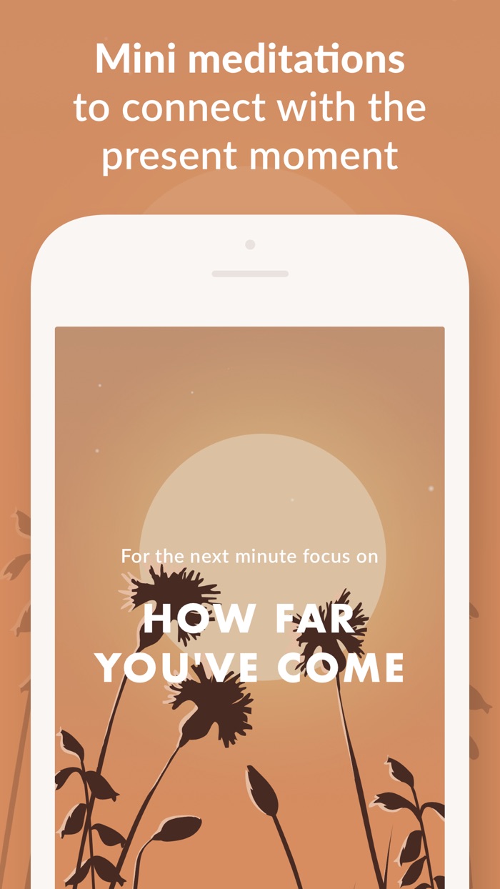 Wild Journey - Nature Sounds