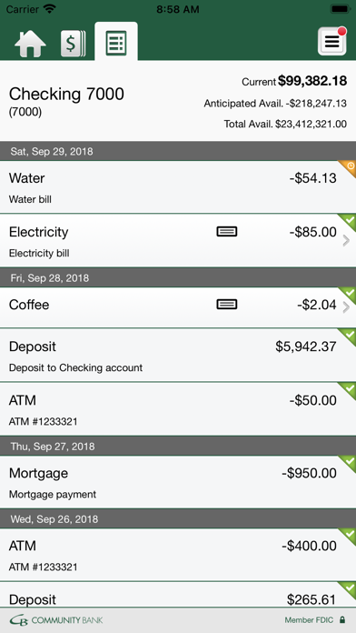 Community Bank Mankato Biz Screenshot