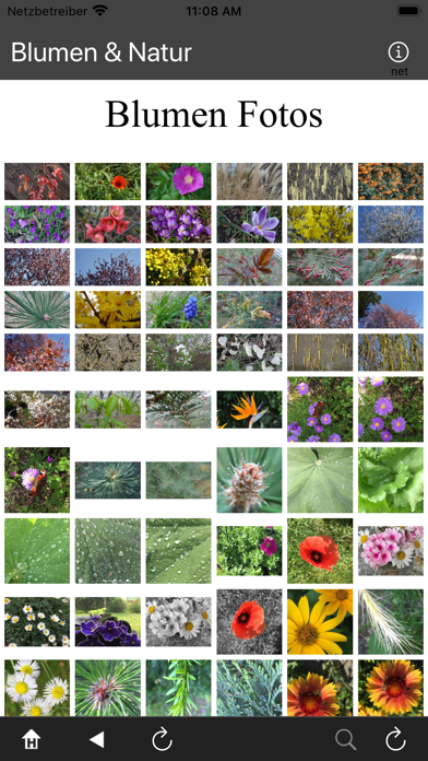 Screenshot #3 pour Blumen & Natur