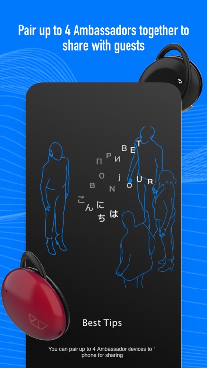 Ambassador Interpreter