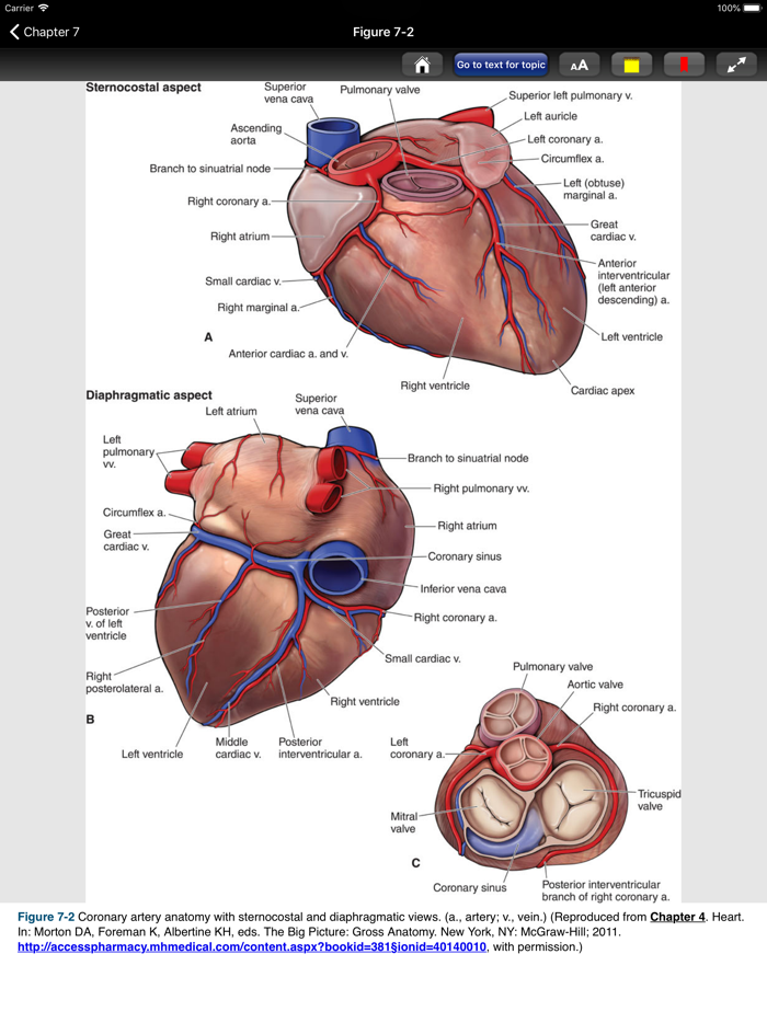 Pharmacotherapy Principles 5/E