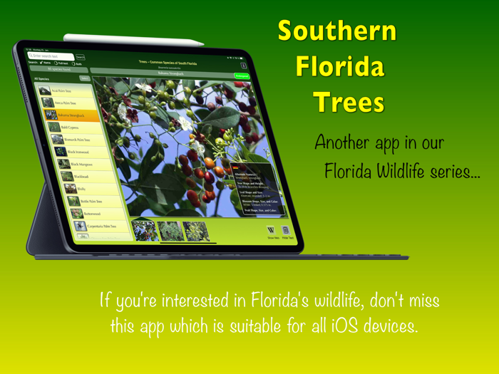 Southern Florida Trees