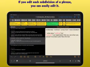 voiDicta screenshot #3 for iPad