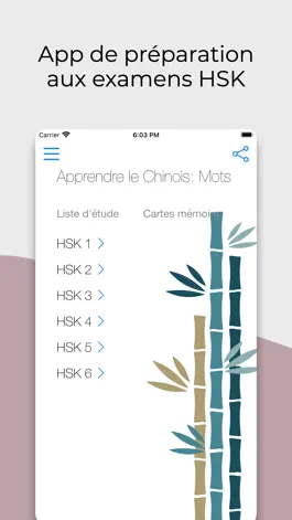 Game screenshot Apprendre le Chinois: Mots mod apk