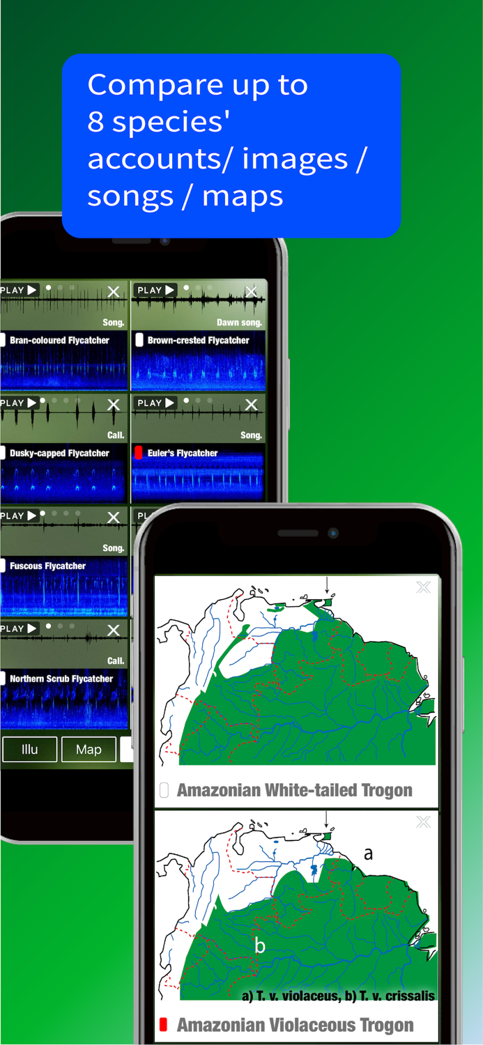 All Birds Trinidad and Tobago