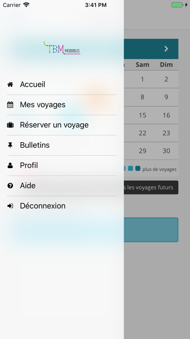 Screenshot #3 pour TBM Mobibus