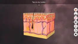 skin: integumentary system iphone screenshot 1