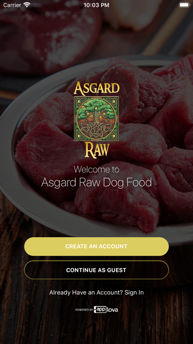 Asgard Raw Screenshot