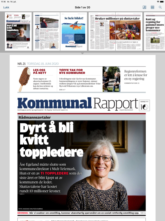 Screenshot #5 pour Kommunal Rapport