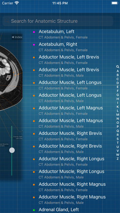 X-Anatomy Proのおすすめ画像3