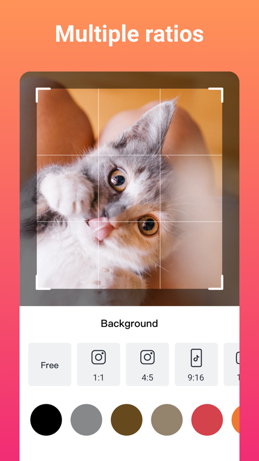 #3. Slideshow Maker (SlidePlus) (iOS) By: Hangzhou Xiaoying Innovation Technology Co., Ltd.