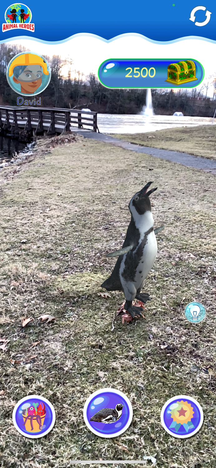 Mystics Animal Heroes