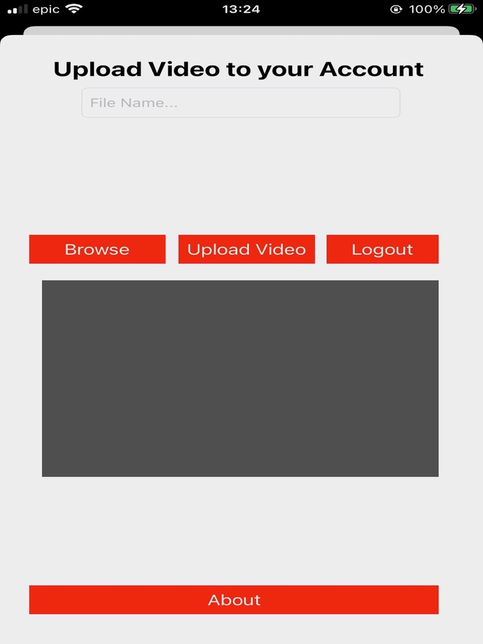 iPad screenshot