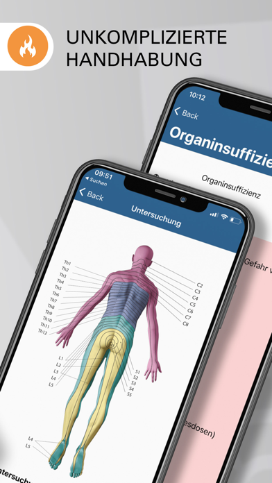 Schmerztherapie Screenshot
