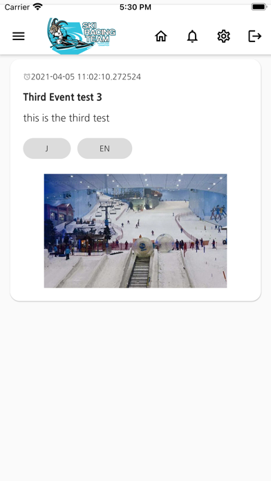 Ski Racing Team Screenshot