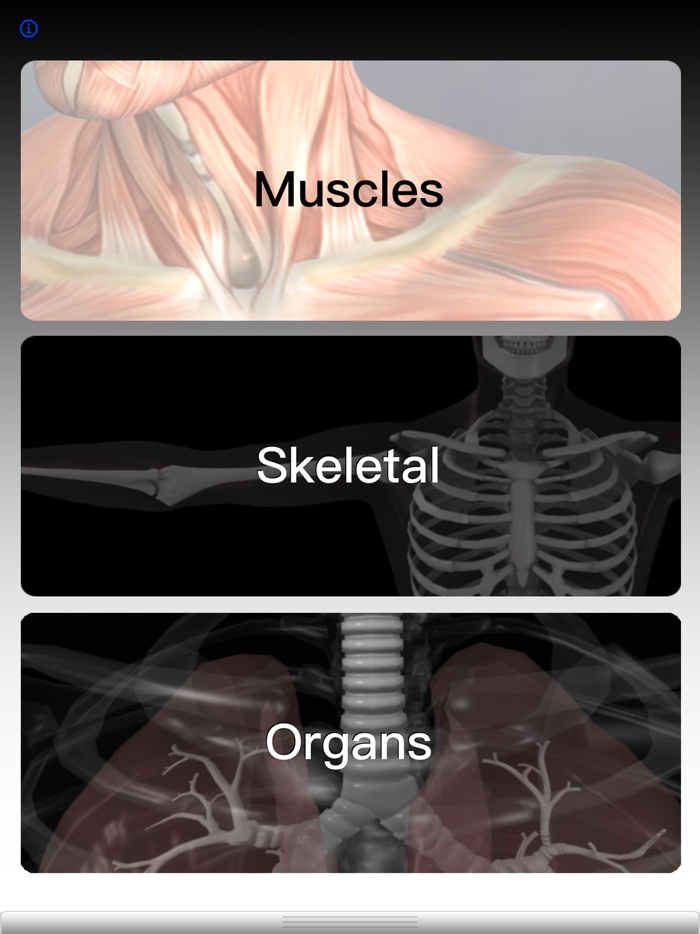 Anatomy Quiz Pro
