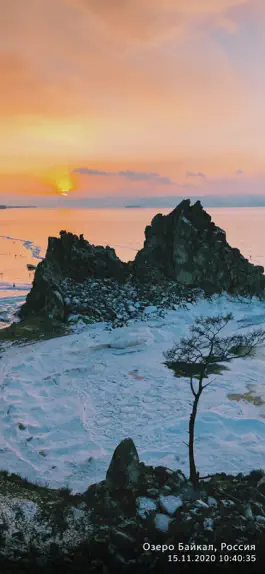 Game screenshot Автоштамп: Камера со штампом apk