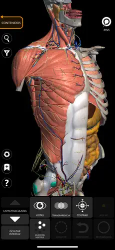 Captura de Pantalla 2 Anatomía - Atlas 3D iphone