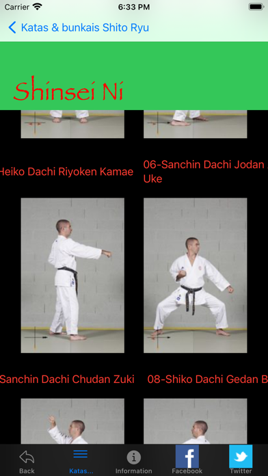 KARATE SHITO-RYU1 Screenshot