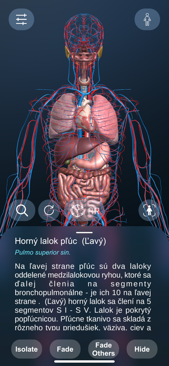 High School Anatomy 21