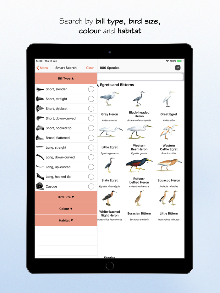 Sasol eBirds South Africa LITE