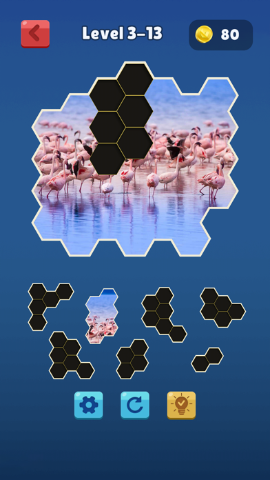 Hexa Jigsaw Collection HD Screenshot