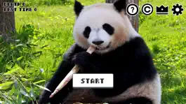 Game screenshot I wanna escape from the panda hack