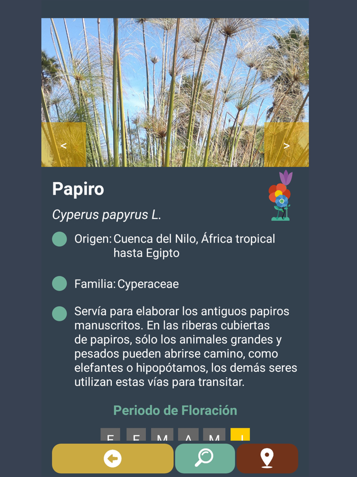 Parque Celestino Mutis