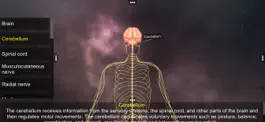 Game screenshot Human Nervous system hack