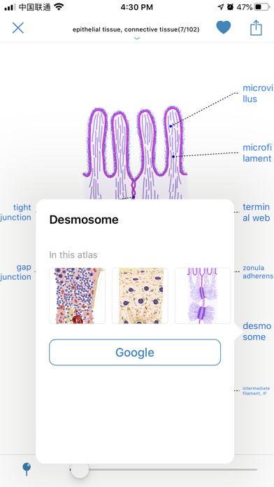 Atlas of Human Histology Screenshot