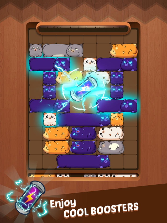 Coco Slide Cats Puzzle ®