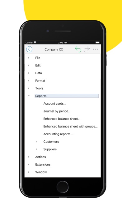 Banana Accounting Mobile Screenshot