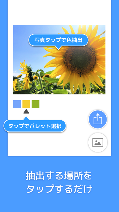 Picolor - 色を抽出できる写真加工アプリのおすすめ画像4