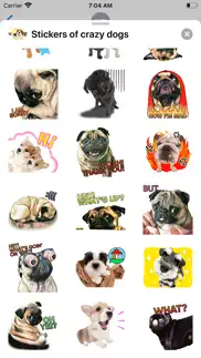 stickers of crazy dogs iphone screenshot 3