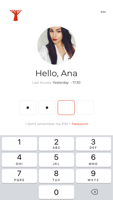 Bank BIC NA Limited Screenshot