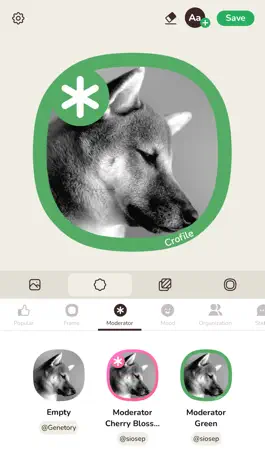 Game screenshot Crofile: Upgrade your Profile mod apk